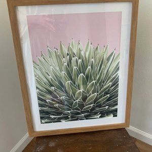 Project 62 succulent framed picture